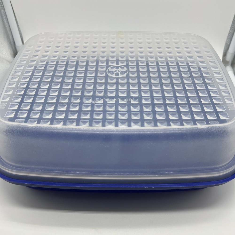 Tupperware Season n Serve Meat Marinade Container with Lid Blue 10x12 Vintage